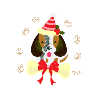 Illustration Animals Illustration Animals