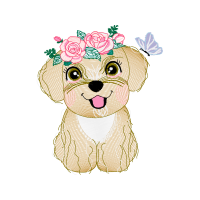 Illustration Animals