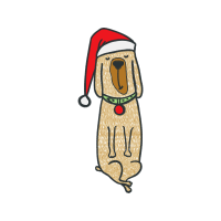 Illustration Animals Illustration Animals