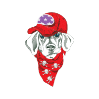 Illustration Animals