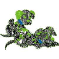 Illustration Animals Illustration Animals