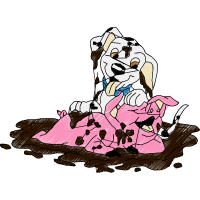 Illustration Animals Illustration Animals