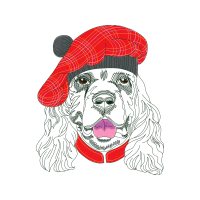 Illustration Animals