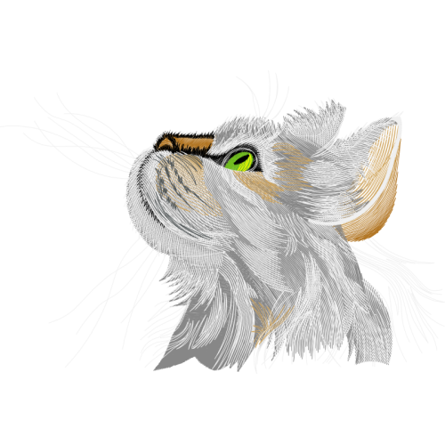 Illustration Animals Illustration Animals