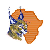 Illustration Animals Illustration Animals