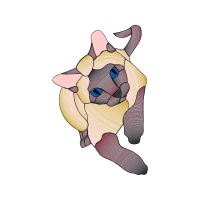 Illustration Animals