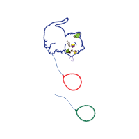 Illustration Animals