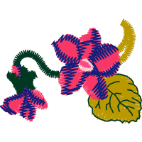 Illustration Animals