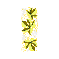 Illustration Animals