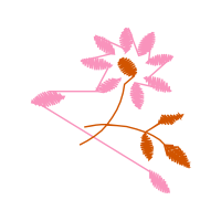 Illustration Animals