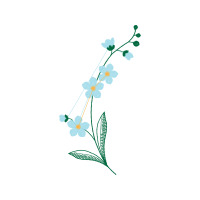 Illustration Animals Illustration Animals