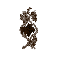 Illustration Animals