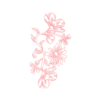 Illustration Animals