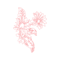 Illustration Animals