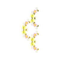 Illustration Animals