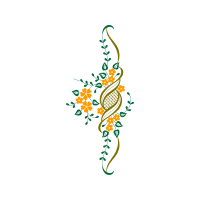 Illustration Animals