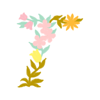 Illustration Animals