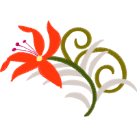 Illustration Animals