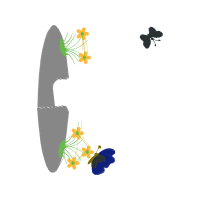 Illustration Animals