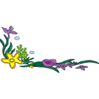 Illustration Animals