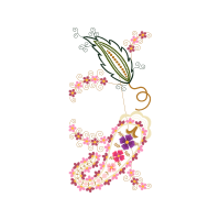 Illustration Animals