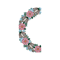 Illustration Animals