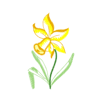 Illustration Animals