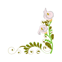 Illustration Animals Illustration Animals