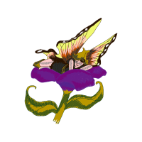 Illustration Animals