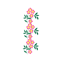 Illustration Animals