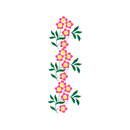 Illustration Animals Illustration Animals