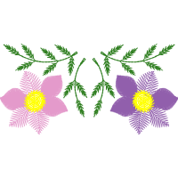 Illustration Animals