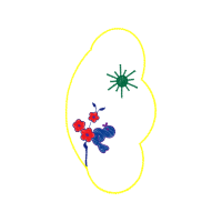 Illustration Animals