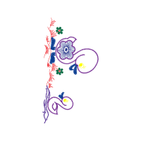 Illustration Animals