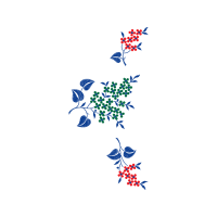 Illustration Animals