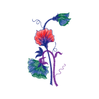 Illustration Animals