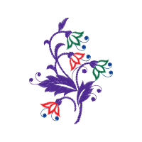 Illustration Animals