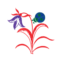 Illustration Animals