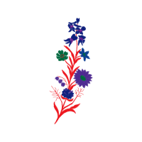 Illustration Animals