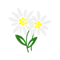 Illustration Animals Illustration Animals