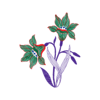 Illustration Animals Illustration Animals