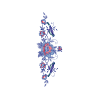 Illustration Animals Illustration Animals