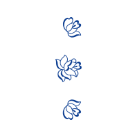 Illustration Animals Illustration Animals