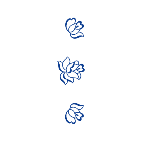 Illustration Animals Illustration Animals