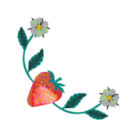 Illustration Animals