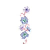 Illustration Animals