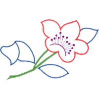 Illustration Animals