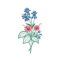 Illustration Animals