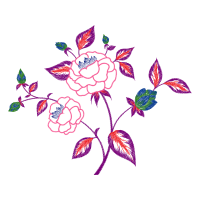 Illustration Animals