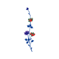 Illustration Animals